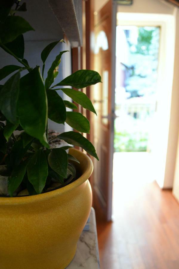 Casa Del Padre - Annabelle Apartment Rijeka Bagian luar foto